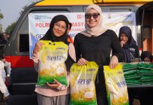 Penyaluran Hampir 500 Ribu Ton, Beras SPHP Diminati Masyarakat