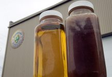 Impor Migor Bekas pun Jadi Alat Tawar Trump Melawan China