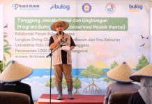 BULOG Tanam 1.000 Bibit Mangrove di Sulawesi Tenggara