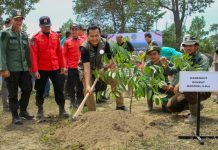 Bersama Menanam, Pulihkan Hutan di Taman Nasional Tesso Nilo