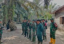 Save Tesso Nilo: Kementerian Kehutanan dan Satgas PKH Perkuat Pengamanan “Rumah Domang”, Habitat Gajah Sumatera di Taman Nasional Tesso Nilo