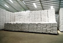 Pengamat: Indonesia Swasembada Beras, Harga Global Anjlok!