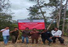 Kemenhut Perkuat Penegakan Hukum, Bongkar Modus _Timber Laundering_ di Sumatra Utara