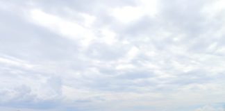 Penyerapan Gabah dan Beras 2026 Difokuskan Pada Hasil Panen Petani Lokal