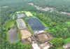 PLTBg Ini Jadi Andalan PalmCo Tekan Biaya Energi di Tengah Gejolak Global