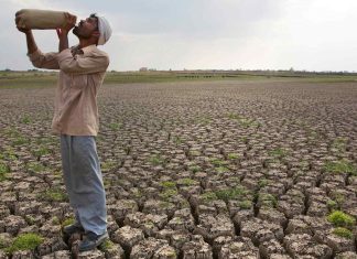 El Nino ‘Godzilla’ Mengancam Petani dari India sampai Australia