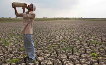 El Nino ‘Godzilla’ Mengancam Petani dari India sampai Australia