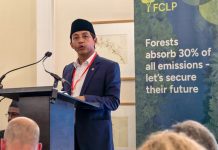 Indonesia Perkuat Kepemimpinan Kehutanan Global melalui Pasar Karbon Berintegritas, Pusat Gambut Tropis, dan Pusat Mangrove Dunia