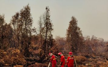 Pemerintah Perkuat Operasi Terpadu Karhutla di Kalimantan, Tambah Dukungan Udara dan Pemadaman Darat