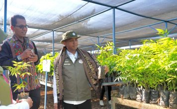 Tindak Lanjuti Arahan Presiden Prabowo, Menteri Kehutanan Pastikan Stok Bibit Aman di Persemaian Fatukoa