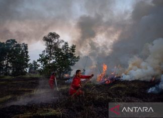 ASMC: Kekeringan Asia Tenggara Tingkatkan Risiko Karhutla