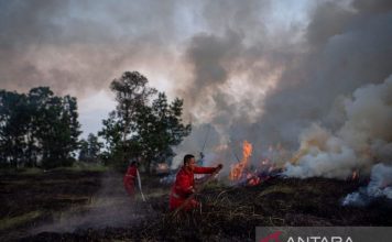 ASMC: Kekeringan Asia Tenggara Tingkatkan Risiko Karhutla