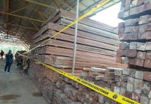 Kemenhut Tuntaskan Berkas Perkara Pemilik Gudang Penampungan Kayu Ilegal Di Samarinda