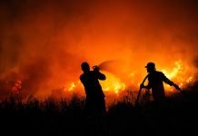 Kabakaran Hutan dan Lahan