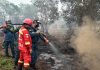 Hujan Turun di Sebagian Kalbar, Kemenhut Tetap Perkuat Pengendalian Karhutla di Enam Provinsi