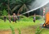 Antisipasi Karhutla, PTPN IV PalmCo Perkuat Deteksi Dini dan Patroli di Sumatera-Kalimantan