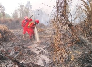 Hotspot Nasional Turun 844 Titik, Menhut-Kepala BNPB Perkuat Pengendalian di Kalteng