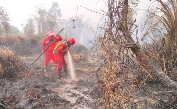 Hotspot Nasional Turun 844 Titik, Menhut-Kepala BNPB Perkuat Pengendalian di Kalteng