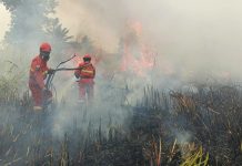 Kemenhut Perkuat Operasi Karhutla di Kalteng dan Kalbar, 61 Armada Udara Terus Disiagakan