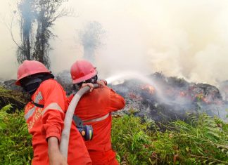 Hotspot Turun 84 Titik, Operasi Karhutla Tetap Diperkuat