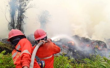 Hotspot Turun 84 Titik, Operasi Karhutla Tetap Diperkuat