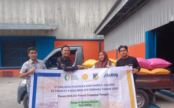 BULOG Percepat Penyaluran SPHP Jagung Pakan